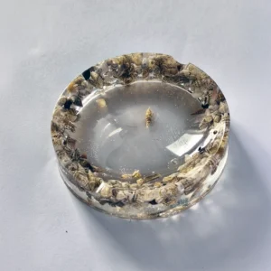 Cenicero Oceana Caracolas